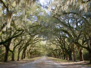 Wormsloe Historic Site