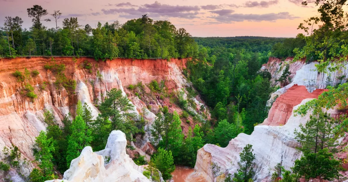 Georgia’s Little Grand Canyon Georgia’s Little Grand Canyon